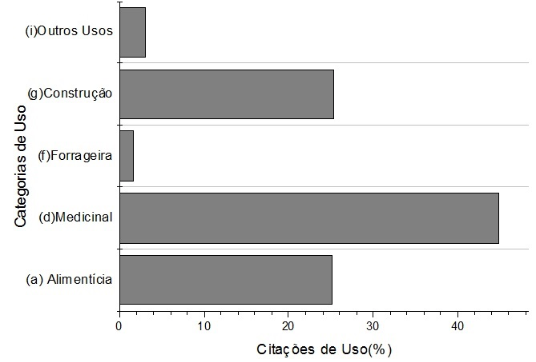 GRÁFICO 1 PAINT